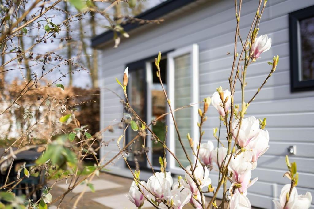 Gezellig Modern Chalet Midden Op De Veluwe 伊皮 外观 照片
